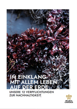 Unsere 12 Verpflichtungen zur Nachhaltigkeit