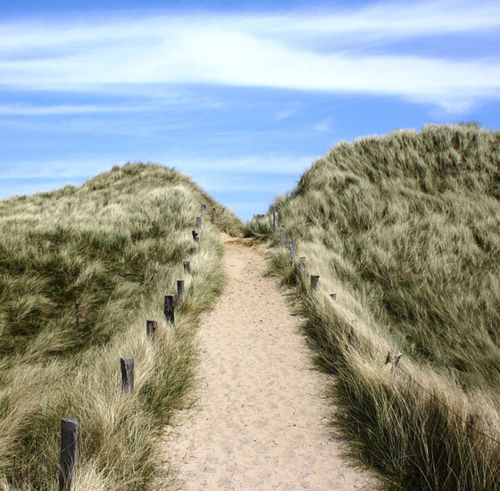 Discovering Sylt